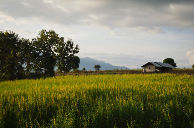 Beautiful Pai