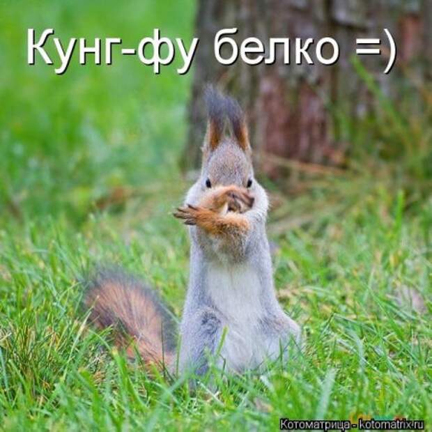 Подумала о своей жизни... сразу мухи налетели.