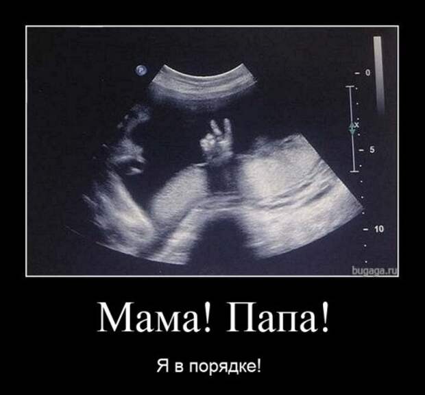 Свежая коллекция демотиваторов (32 шт)