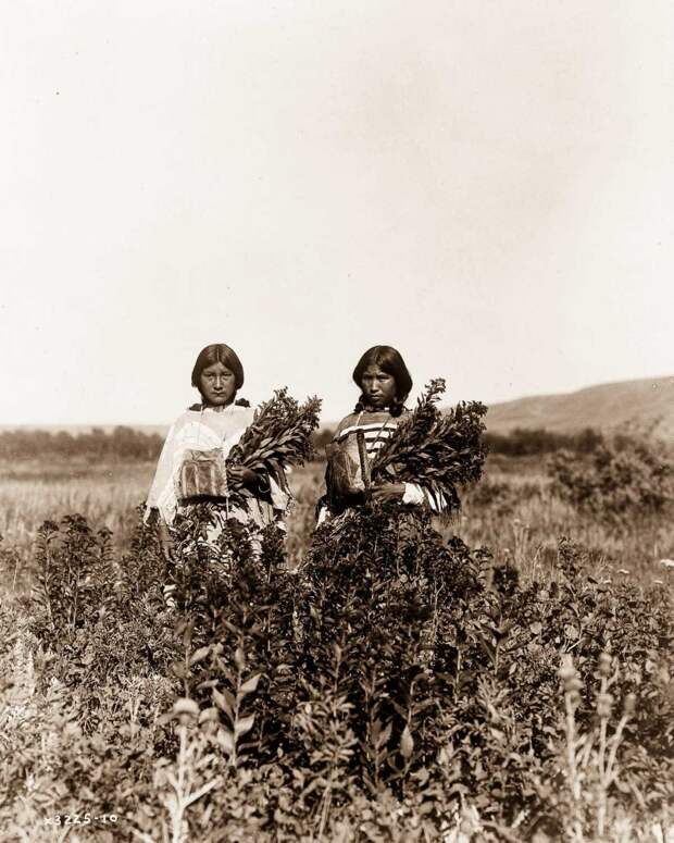 1904-1924 годы: Жизнь североамериканских индейцев в фотографиях Эдварда Кёртиса