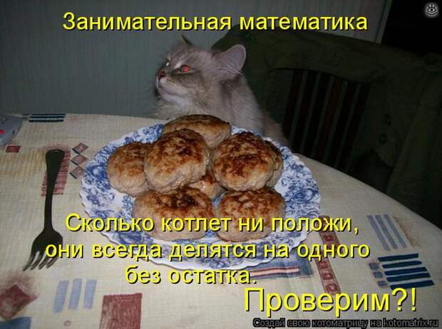 Чудная котоматрица 29