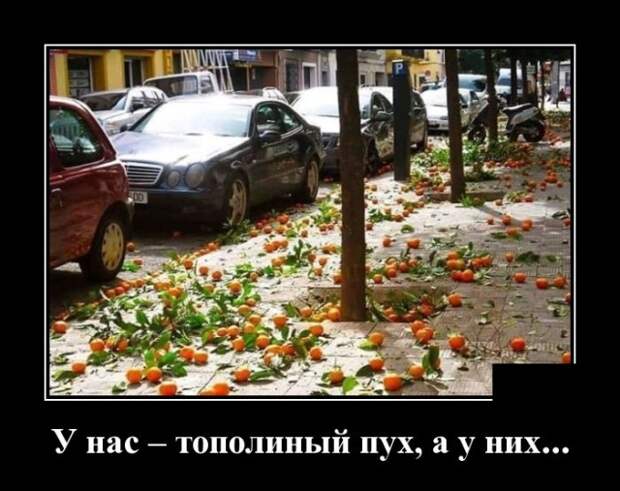 www.vsyako.net