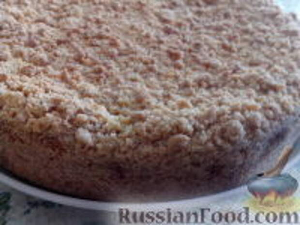 Фото к рецепту: Нежный пирог с творожно-абрикосово-маковой начинкой