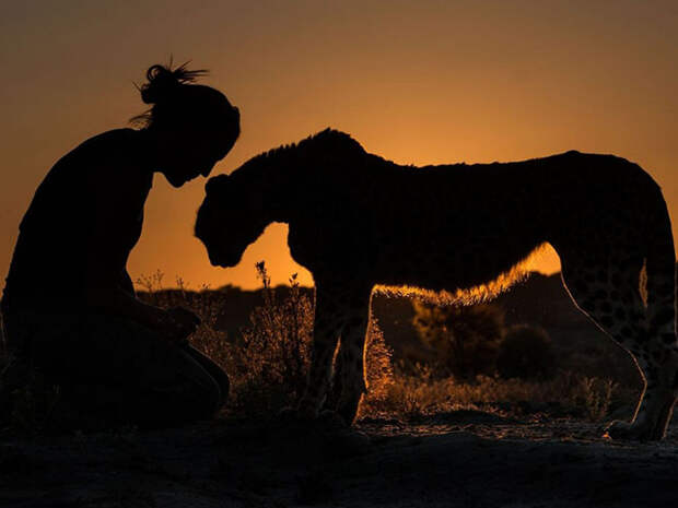 Лучшие снимки National Geographic 2015