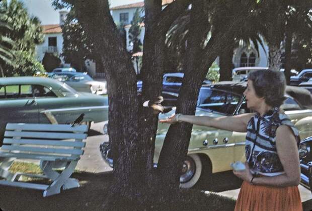 авто, америка, олдтаймер