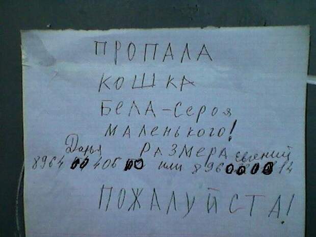 Забавные объявления о пропаже домашних животных (25 фото) 