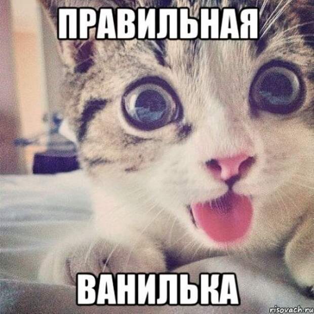 Картинки с надписями - свежие приколы Картинки с надписями - свежие приколы