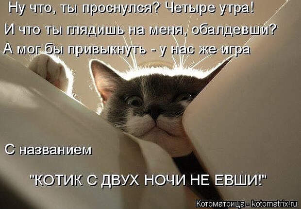 image (604x419, 187Kb)