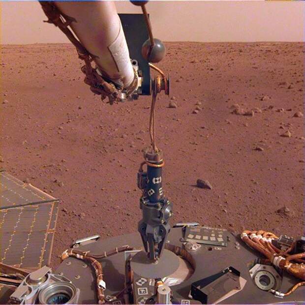 Рука модуля InSight Рука модуля InSight