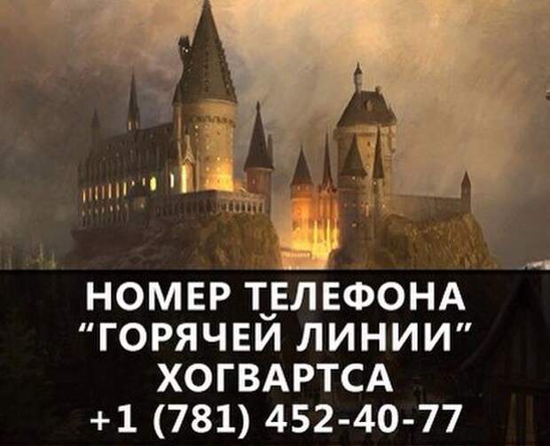 О самых интересных фактах в мире