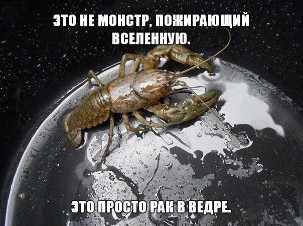 Прикольные оптические иллюзии иллюзии, прикол, фотографии