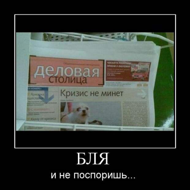 Демотиваторы-13 (50 фото)