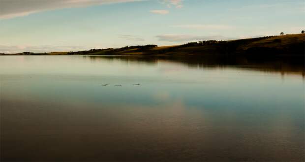 loch ness monster are there two
