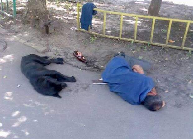 Такое может быть только в России (65 фото)