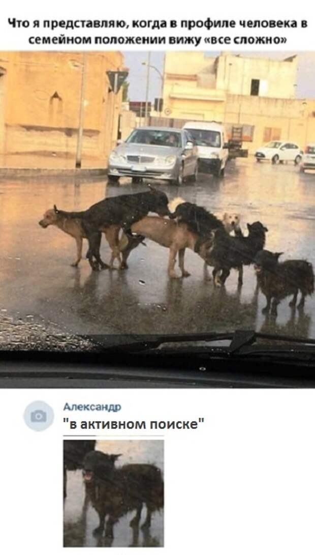 Юмористы из соцсетей, которые трудятся не покладая рук Юмористы из соцсетей, которые трудятся не покладая рук