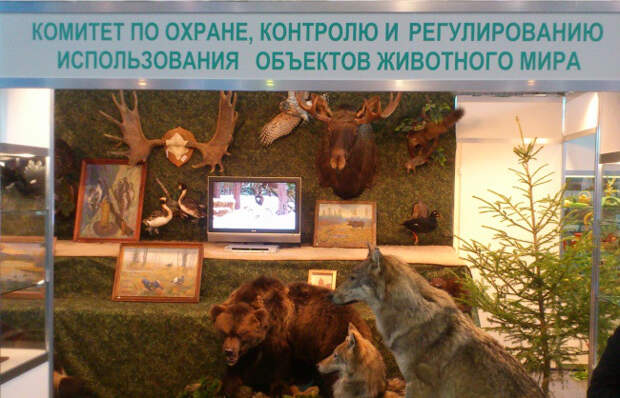 маразмы в жизни