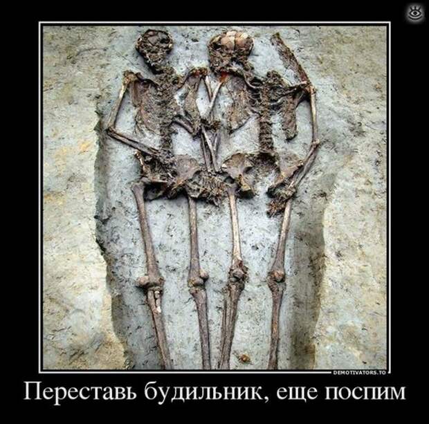 Утренняя зарядка демотиваторами 12