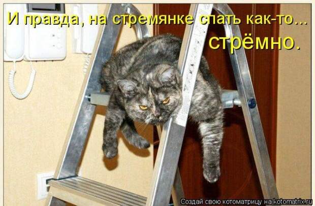 Мысли вслух :)