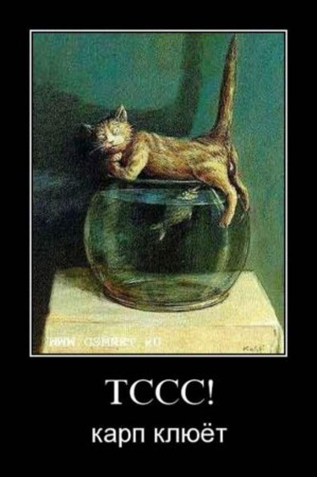 смешные демотиваторы.