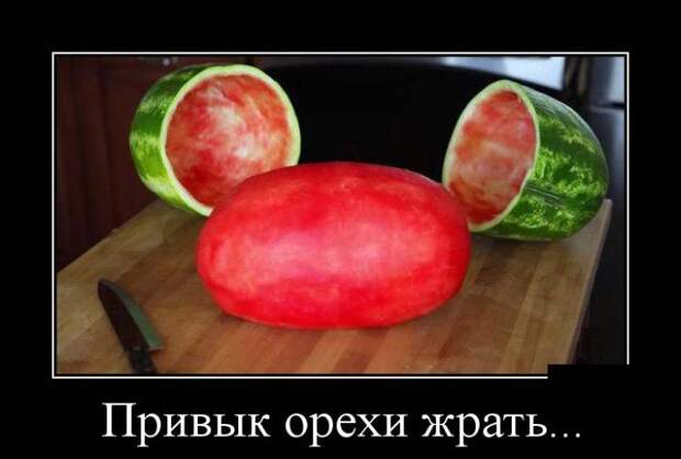 Привык орехи жрать... демотиватор, юмор