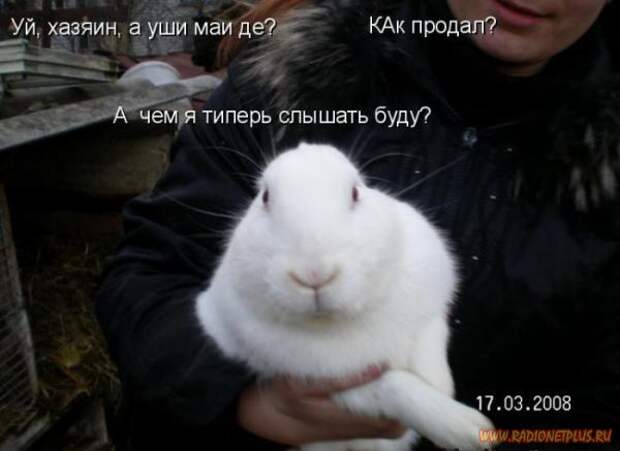 Зверье мое......