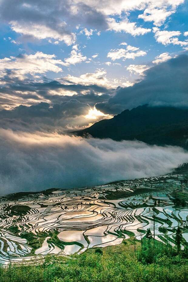 Рисовые террасы Хунхэ-Хани в Китае. Фото