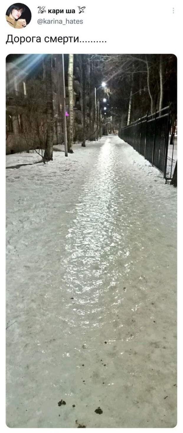 Подборка забавных твитов обо всем