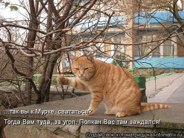 Мысли вслух :)