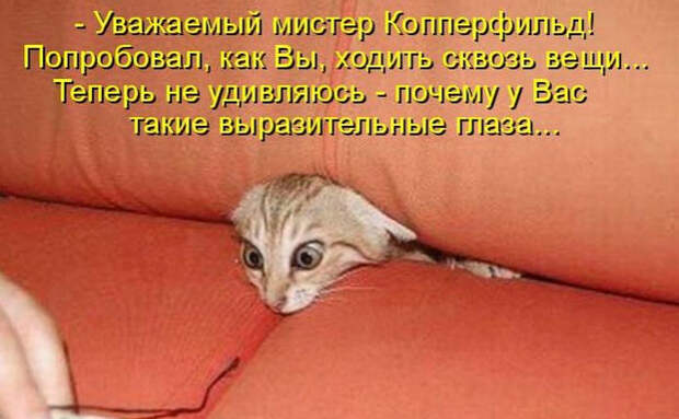 Смешные животные из КотоМатрицы (49 шт.)