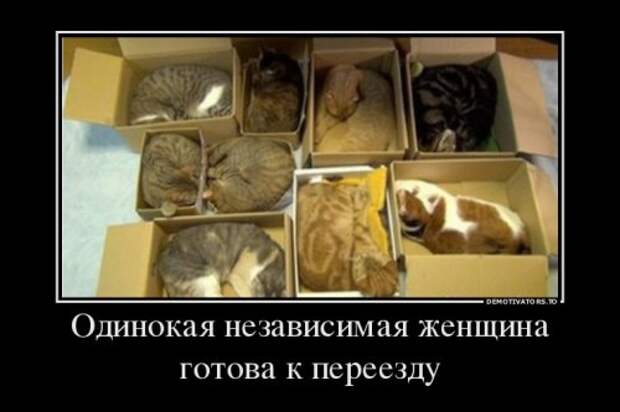 Демотиваторы новые, прикольные (16 шт)