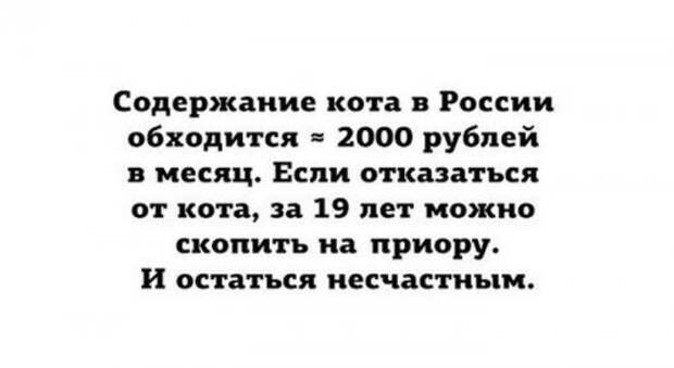 Пятничные картинки и фото-приколы (56 шт)