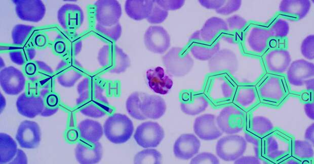 ВОЗ одобрила первый препарат от малярии для новорожденных и младенцев