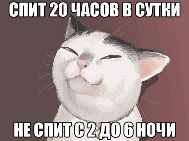 Смешные картинки с подписями  картинки, прикол, юмор