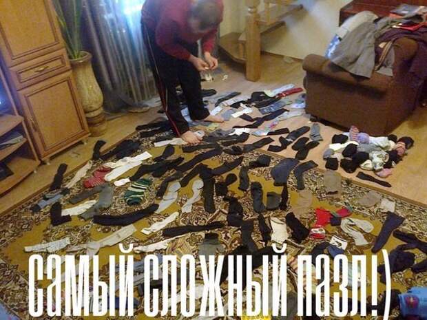 Прикольные и смешные фото девушки, животные, коты, прикол, юмор