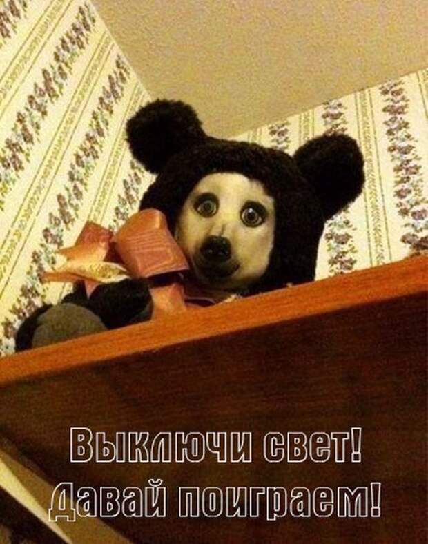 Прикольные картинки (91 фото)