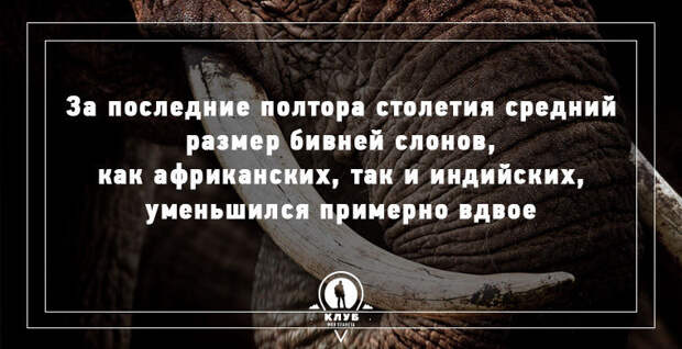 9 интересных фактов о мире в мире, факты