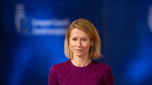 Мема раскритиковал план Каллас по усилению давления на Россию