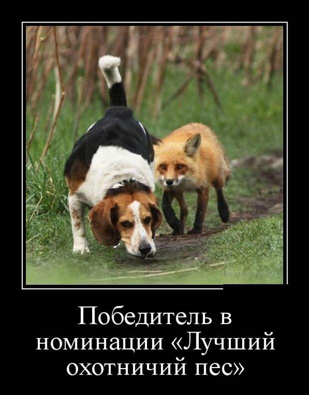 Демотиваторы (30 фото)