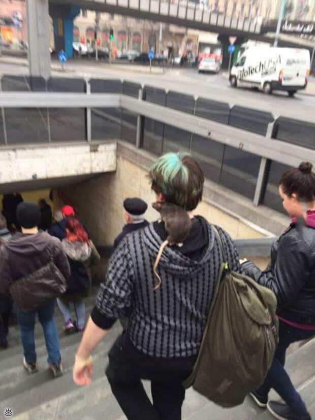 Забавности и оригинальности 8