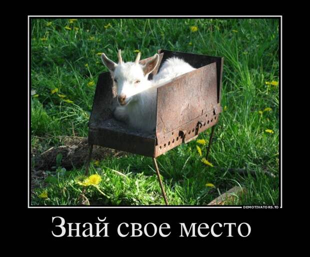 Демотиваторы  демотиваторы, прикол, смех, юмор