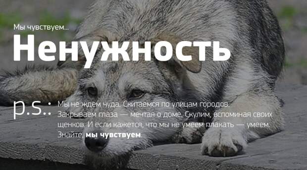Мы чувствуем