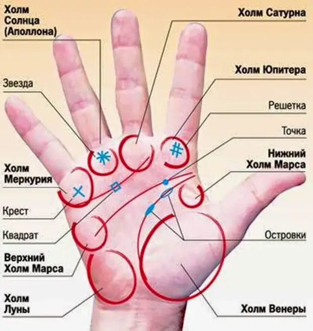 На ладони линия кто написал. Холм Юпитера на ладони. Части ладони названия. Холм Сатурна хиромантия. Как называются части ладони.