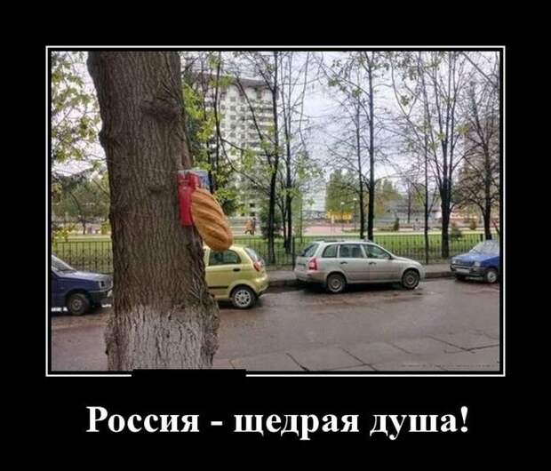Обалденная демотивация Обалденная демотивация