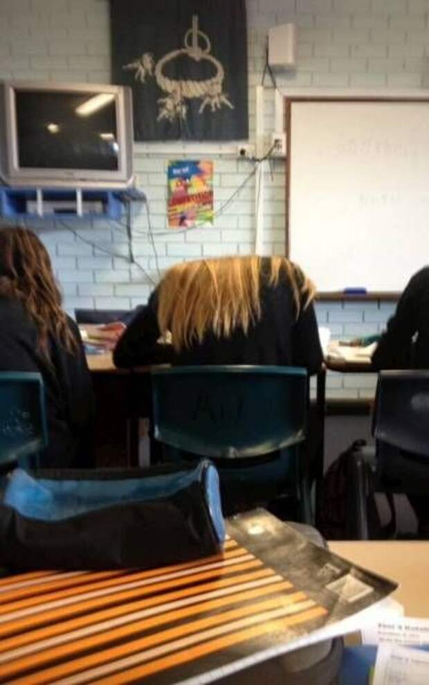Прикольные картинки (97 фото)