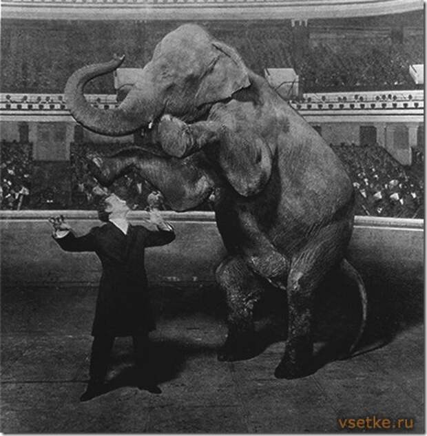 В 1900 г. в Лондоне Гудини показал номер «Исчезновение живого слона».