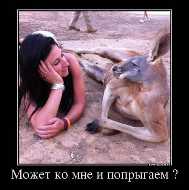 Свежая коллекция демотиваторов (32 шт)