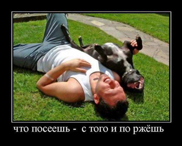 Подборка классных демотиваторов № 107