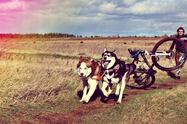 Прикольные картинки. Вечерний выпуск (54 фото)