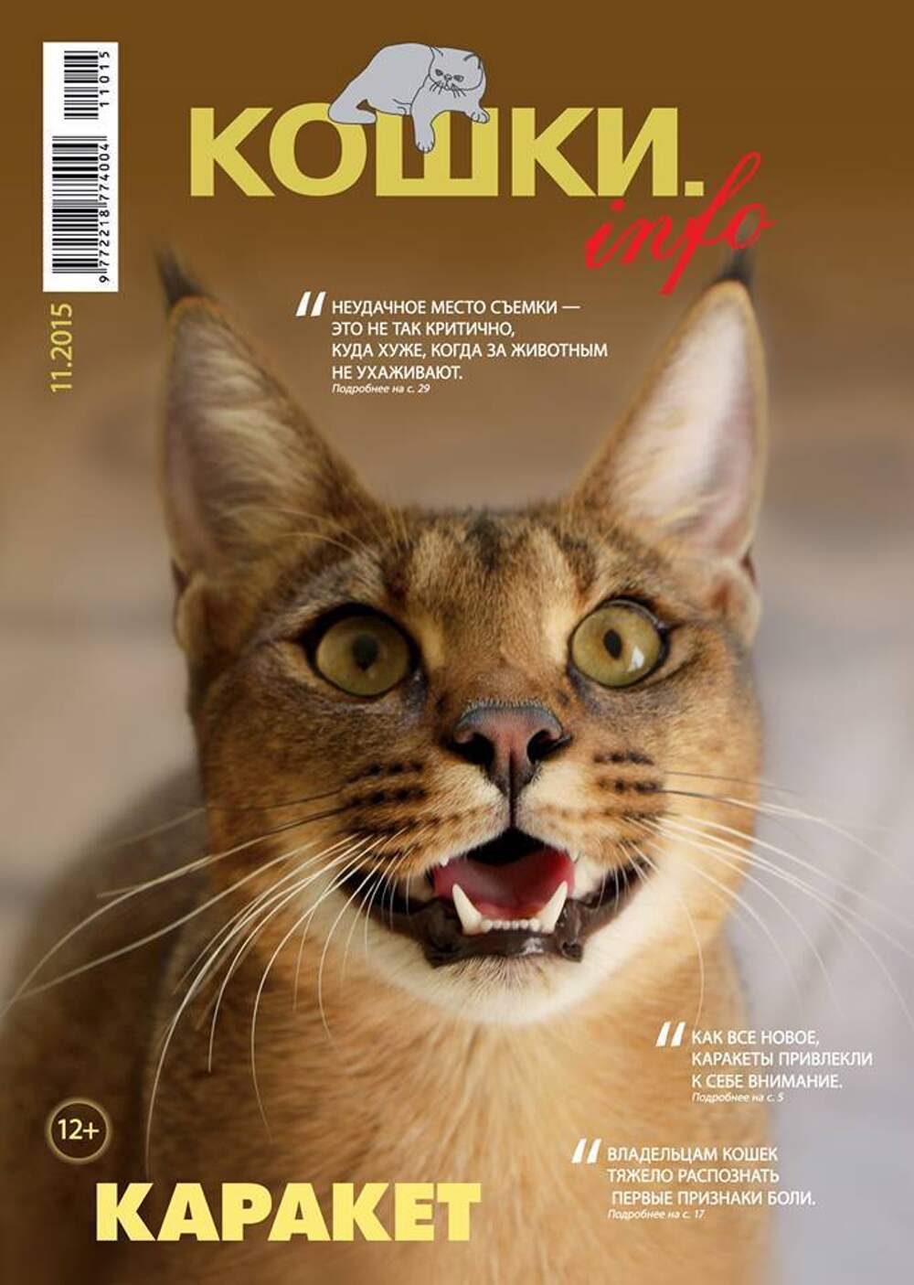 Журнал породы кошек