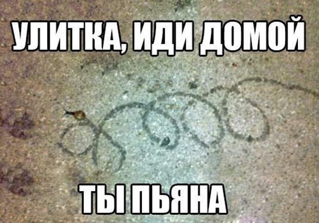 Всяко - разно 45 ))) Всяко - разно 45 )))